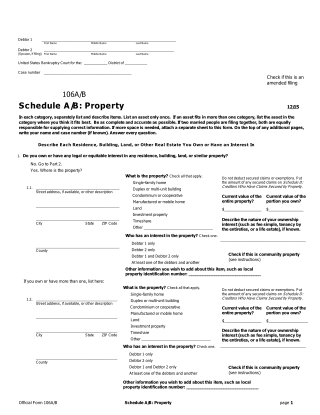 Form 106A/B, page 1