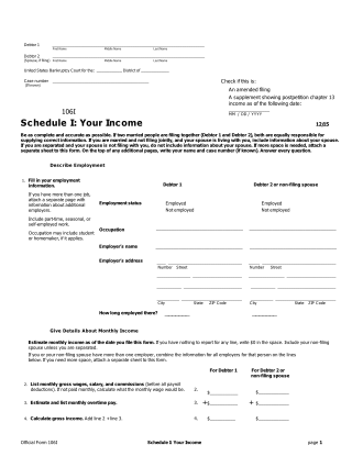 Form 106I, page 1