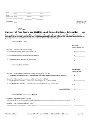 Form 106Sum, page 1